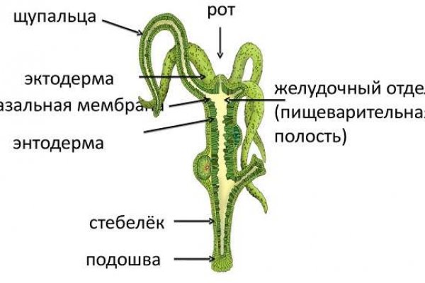 Про blacksprut