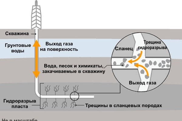 Bs gl ссылка зеркало