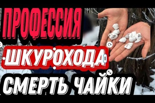 Блэкспрут это будущее bs2web top